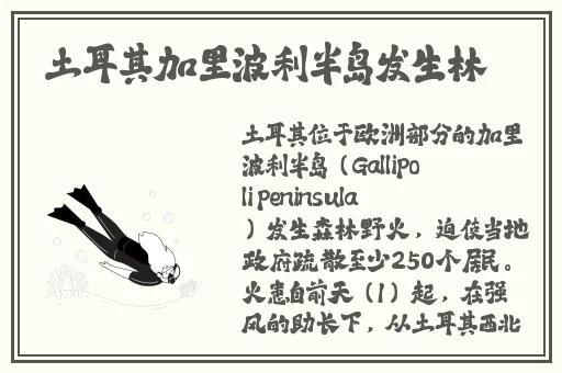 sg99.xy丝瓜视频